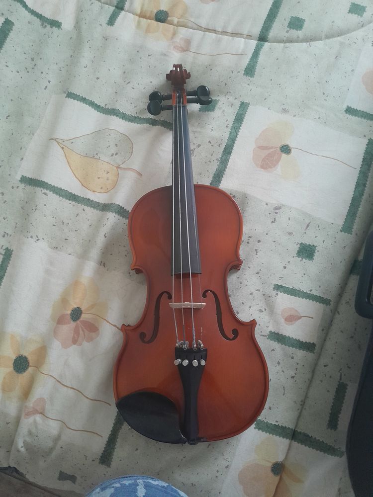 Violon 80 Colomiers (31)