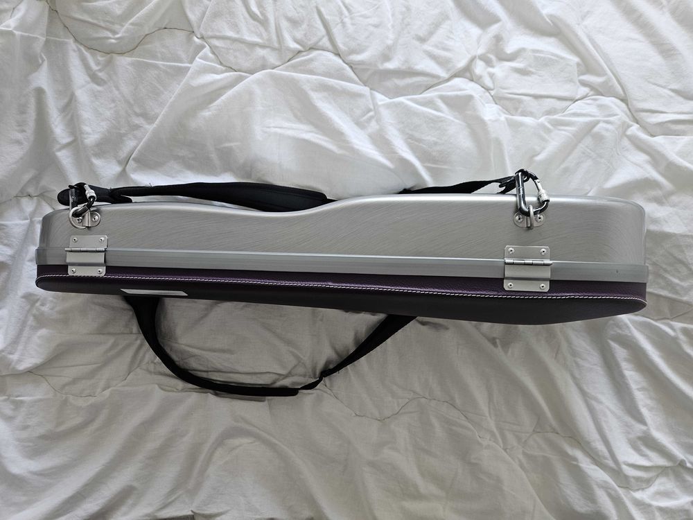 violon 4/4 1500 Talence (33)