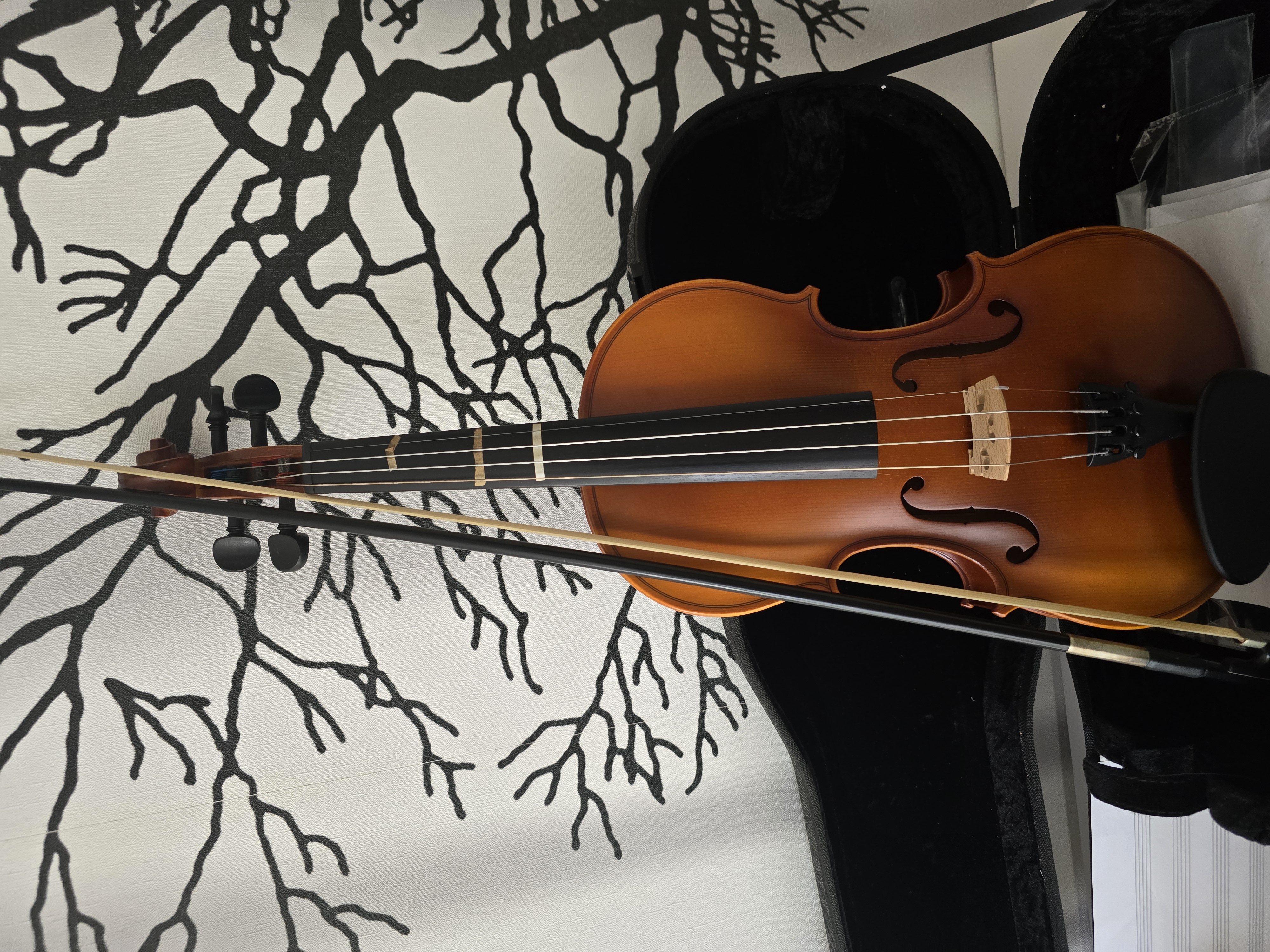 Violon 4/4 250 Boust (57)