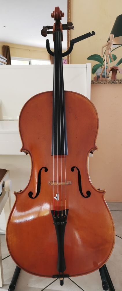Violoncelle entier et �tui 6100� 6100 Fontaines-Saint-Martin (69)