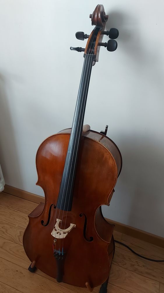 Violoncelle Jay Haide 4/4  � l'ancienne  4000 Saint-Maur-des-Foss�s (94)