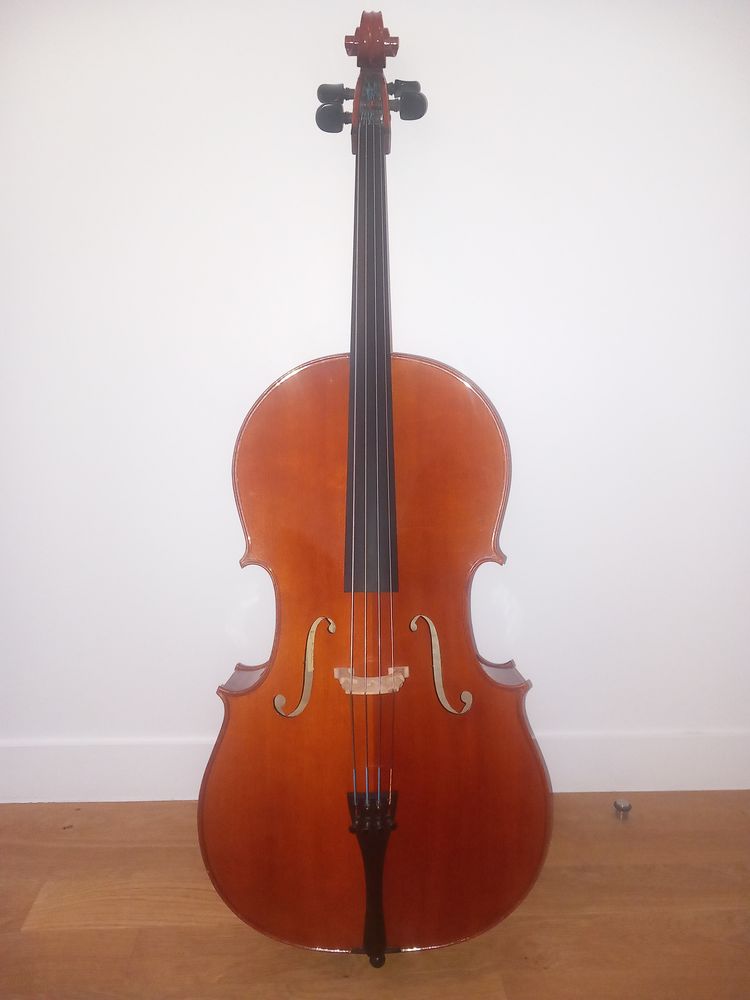Violoncelle 3/4  Passion Tradition  , archet  Aryfrance 1350 Saint-Maur-des-Foss�s (94)