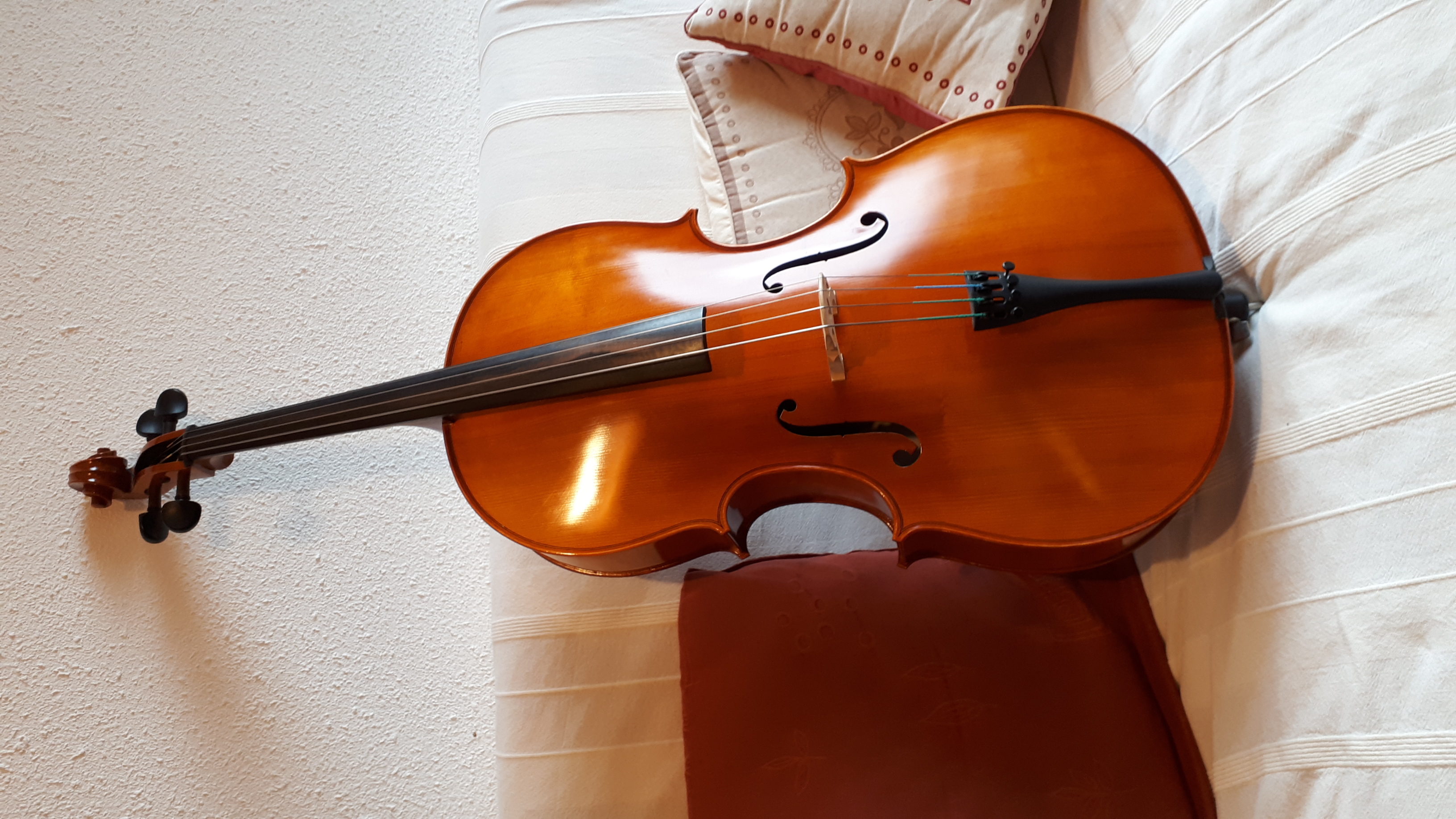 Violoncelle 3/4 1500 Meylan (38)