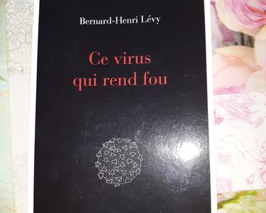 ce virus qui rend fou 7 Beauquesne (80)