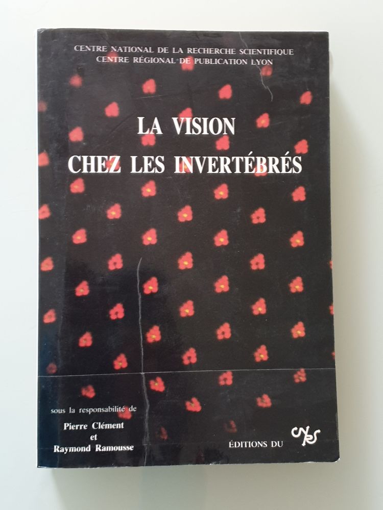 La vision chez les invert�br�s - P. Cl�ment/ r.ramousse
12 Marseille 9 (13)