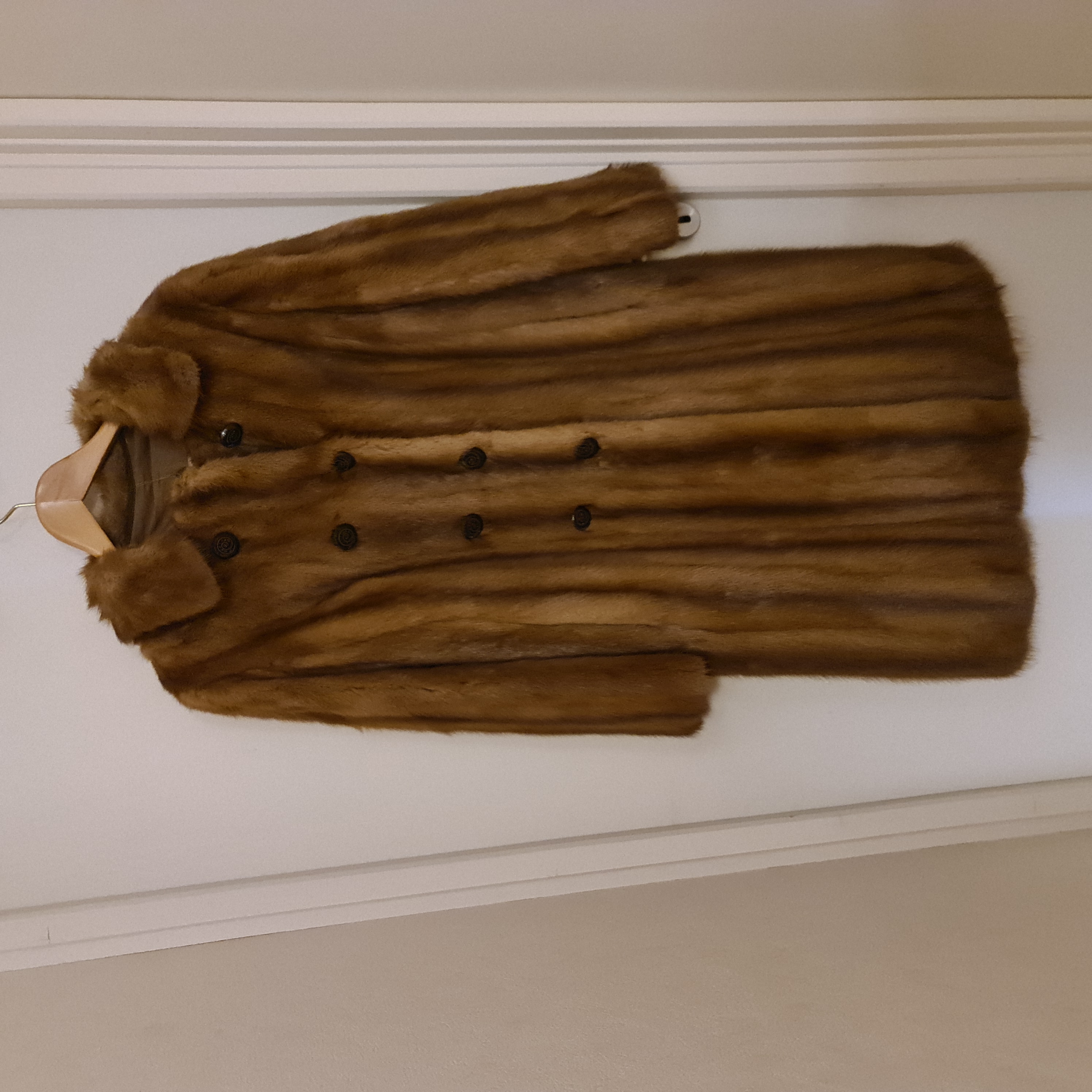 Vison gold 0 Vichy (03)