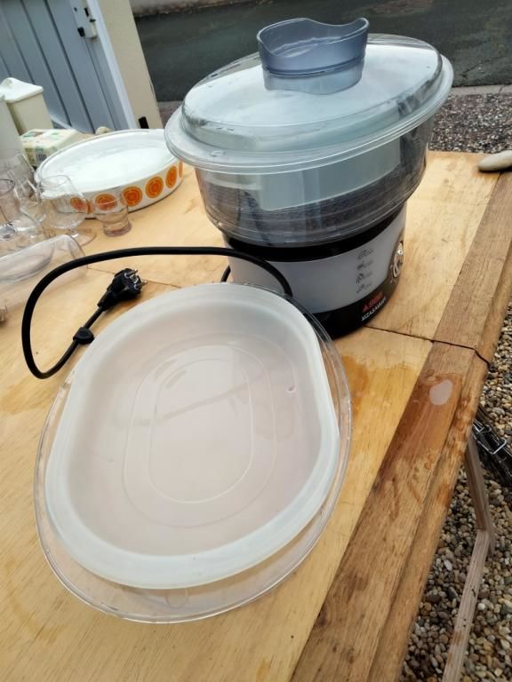 SEB VITASAVEUR neuf
28 Saint-Genis-de-Saintonge (17)