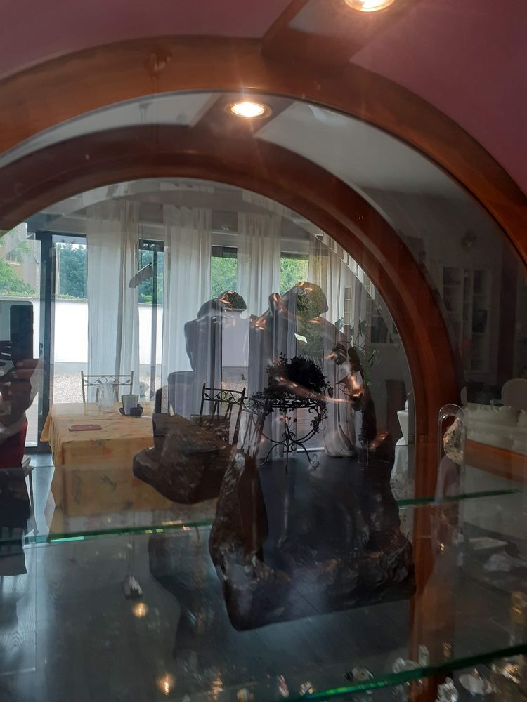 Vitrine avec miroir et luminaire,fabriqu�e par un �b�niste.
0 Raulecourt (55)