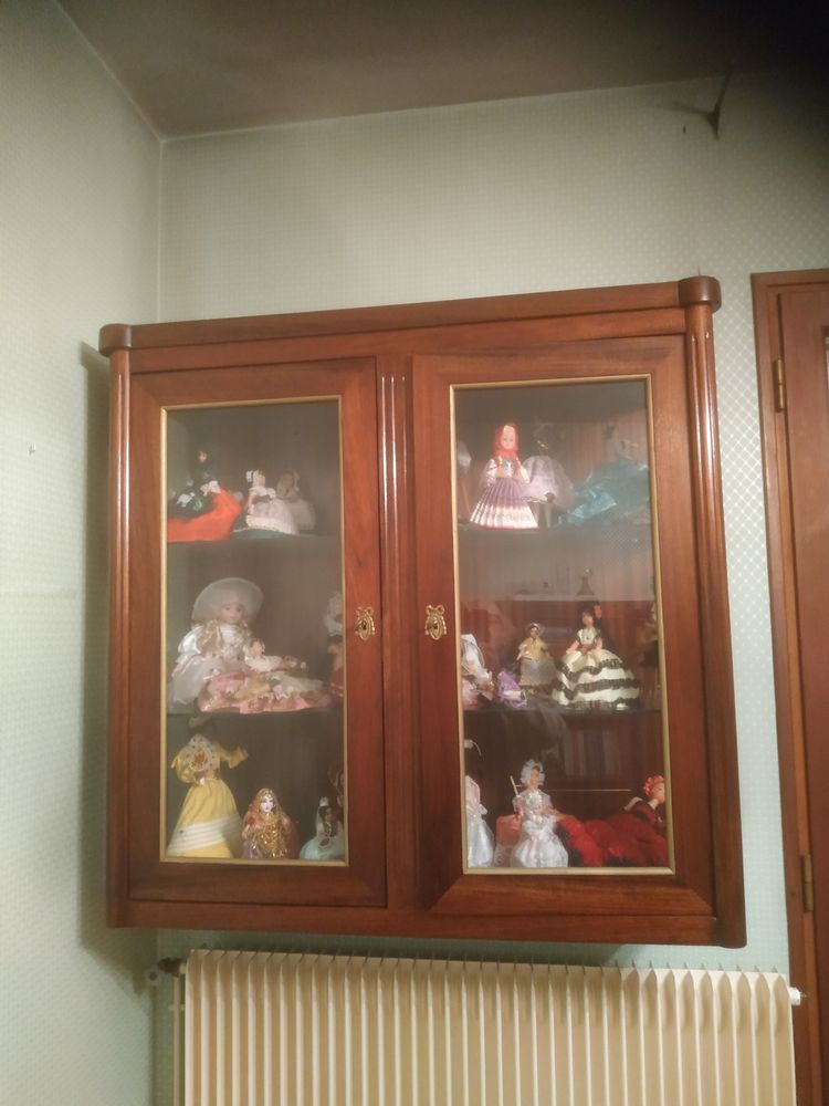 Vitrine- biblioth�que  murale 70 Villenave-d'Ornon (33)