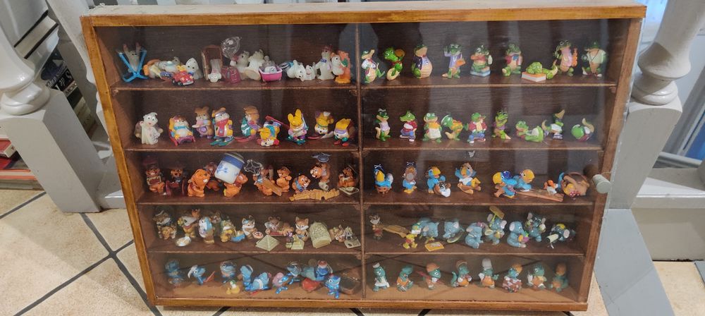 vitrine figurines kinder 45 Fontaine-l�s-Dijon (21)