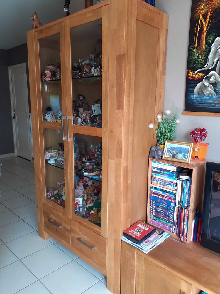 Vitrine - Goliath / 2 portes 500 Cambrai (59)