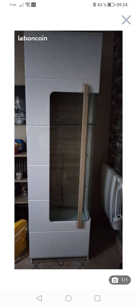 Vitrine levi 170 Port-des-Barques (17)