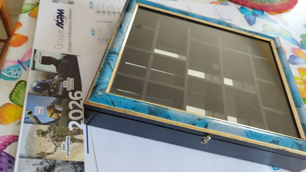 Vitrine murale 30 Artix (64)