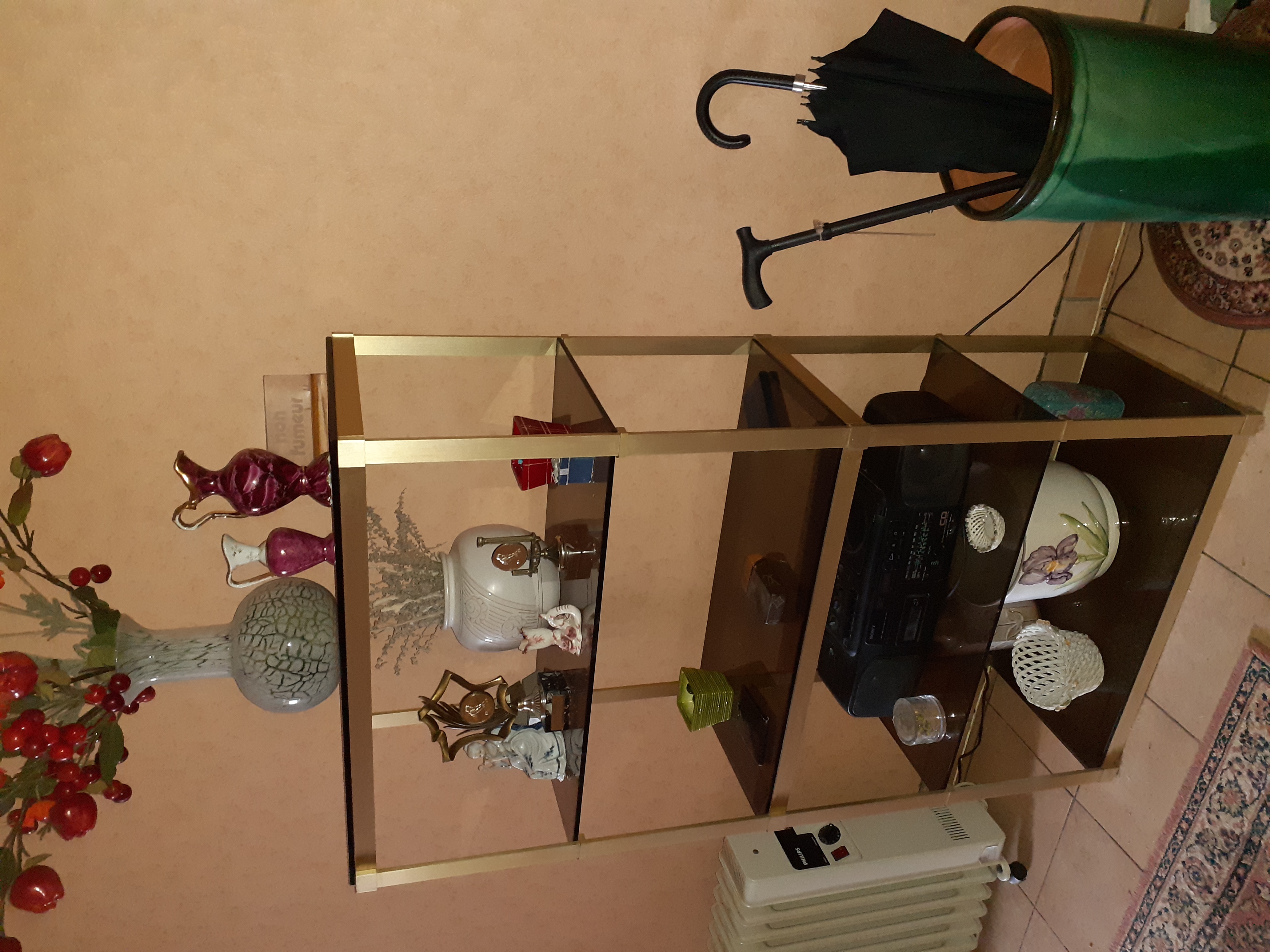 vitrine Pierre Vandel 800 Chalon-sur-Sa�ne (71)