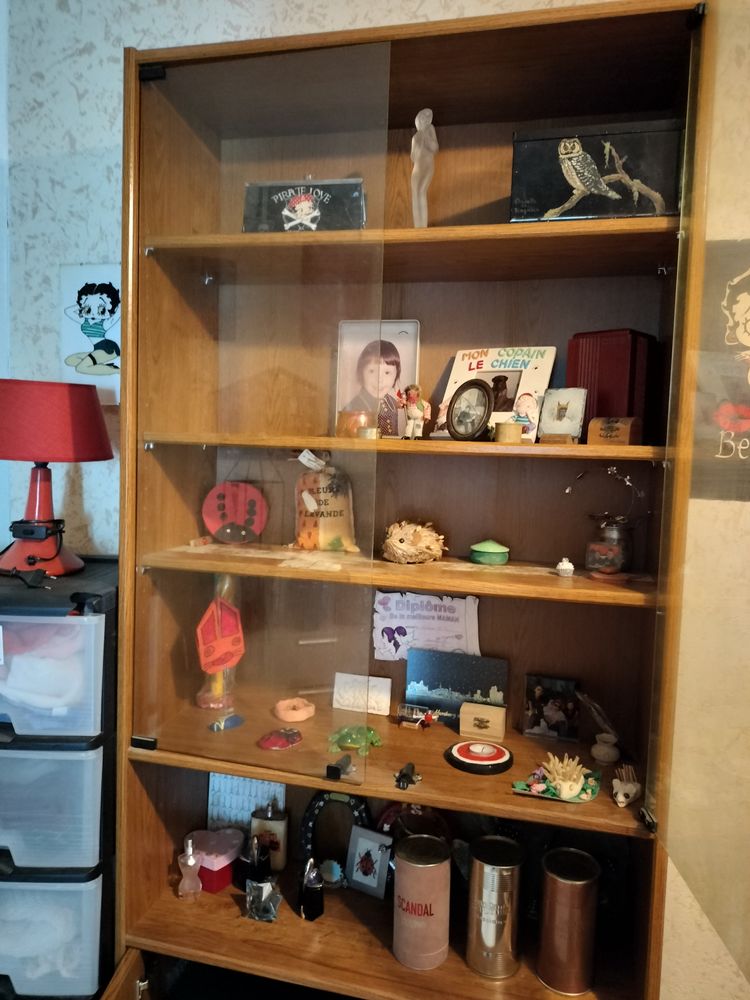 VITRINE SALON OU AUTRES 50 Bourges (18)