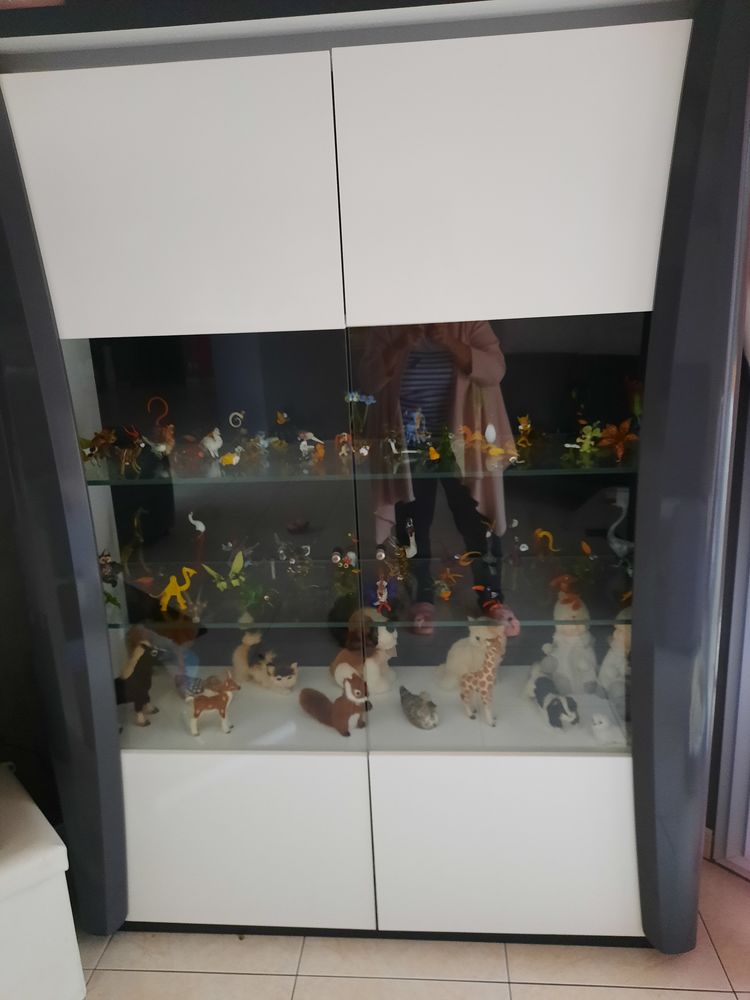 Vitrine 250 Perrex (01)