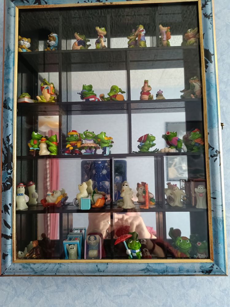 2 Vitrines pour chambre enfants
Avec figurines 15 Fougerolles-du-Plessis (53)