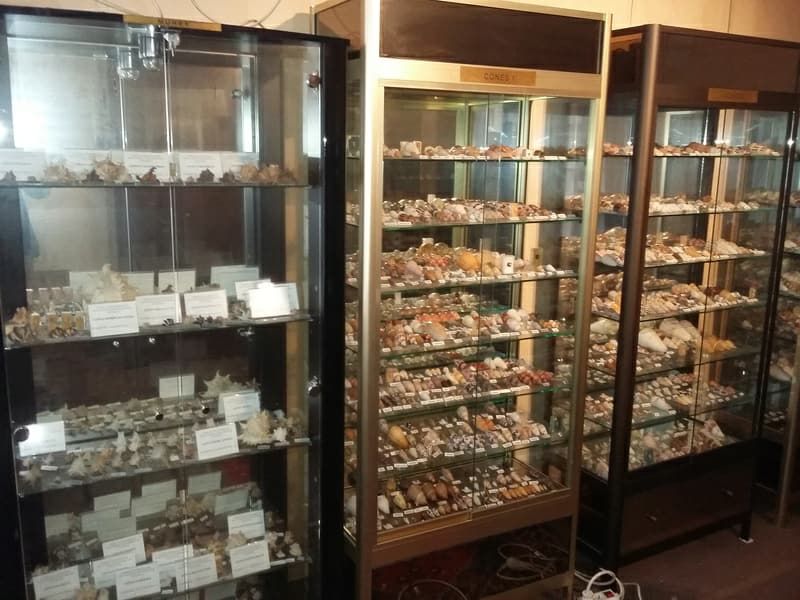 Vitrines de pr�sentation �clair�es de hautes qualit�! 0 Fontaine-�toupefour (14)