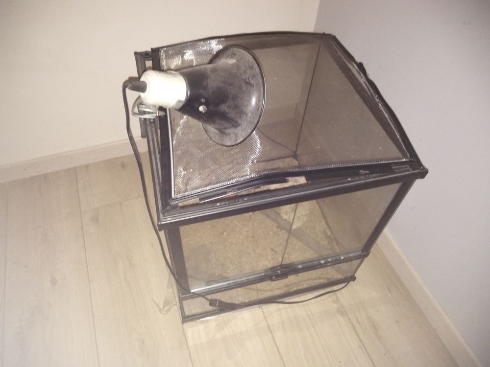 Vivarium reptiles ou autre 22 Saint-M�dard-en-Jalles (33)