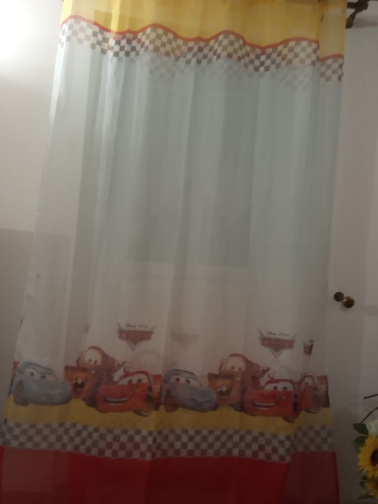 Voilage car's 8 Moz�-sur-Louet (49)