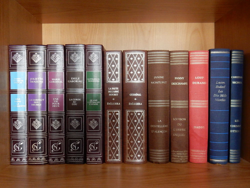 voir le nom de l'auteur et titre sur les photos jointes 3 Cournon-d'Auvergne (63)