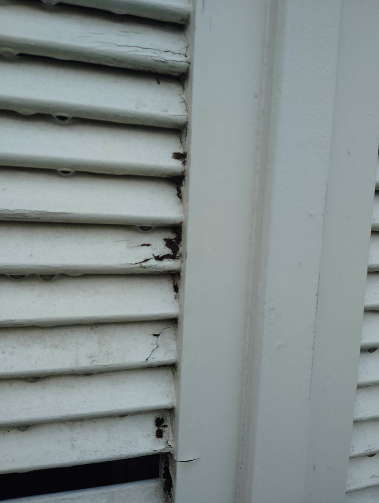 volets bois 5x2   � claires-voies � remanier car ab�m�s 125 Pontoise (95)