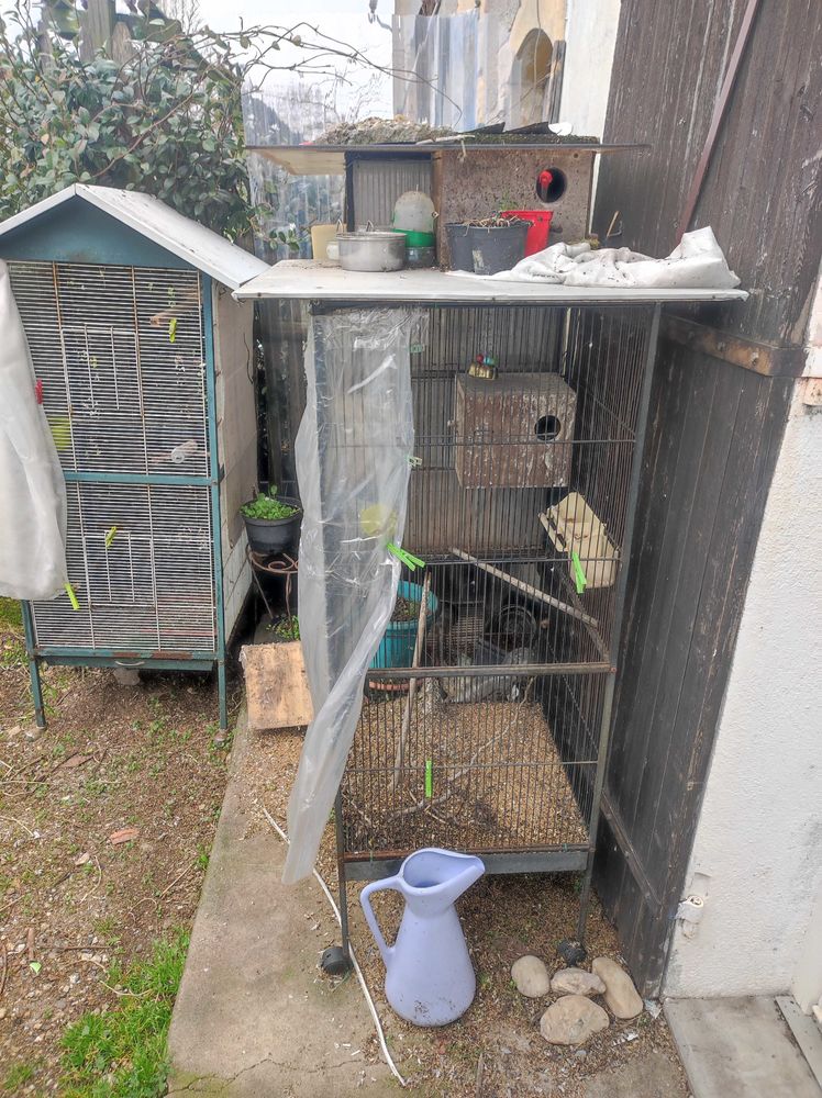 voli�re+oiseaux 60 Moulin-Neuf (24)