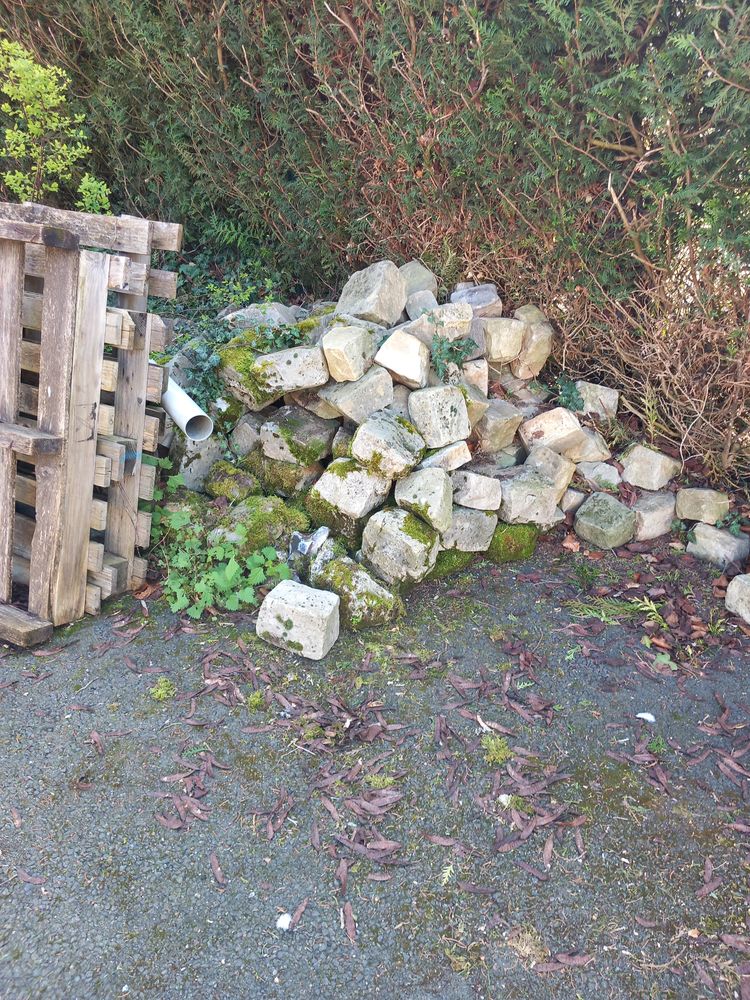 vous avez besoin de pav�s 0 Dannemarie (78)