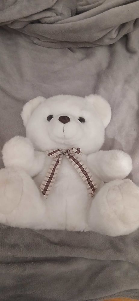 Vous++nounours 10 Tourcoing (59)