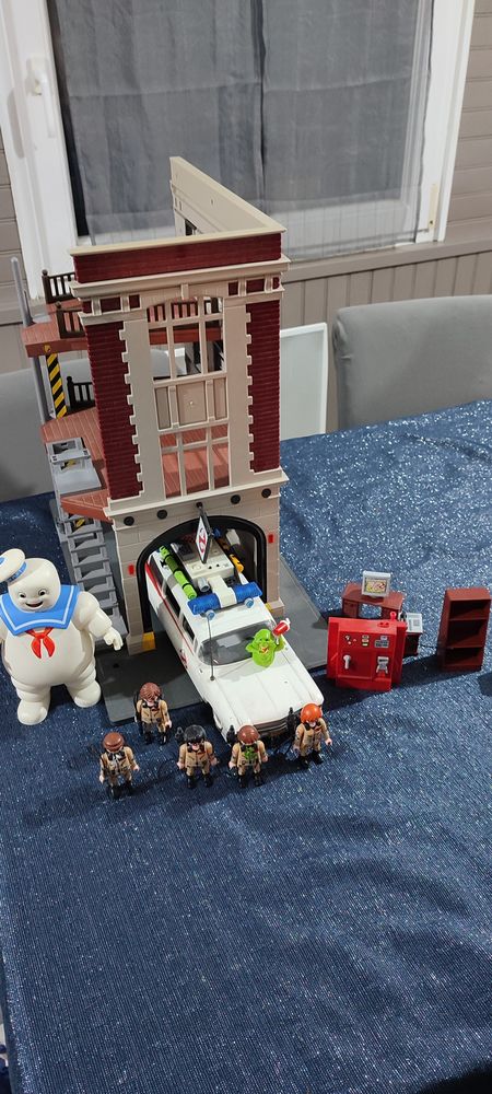 Lot en vrac de Playmobil : plusieurs collections 600 Damelevi�res (54)