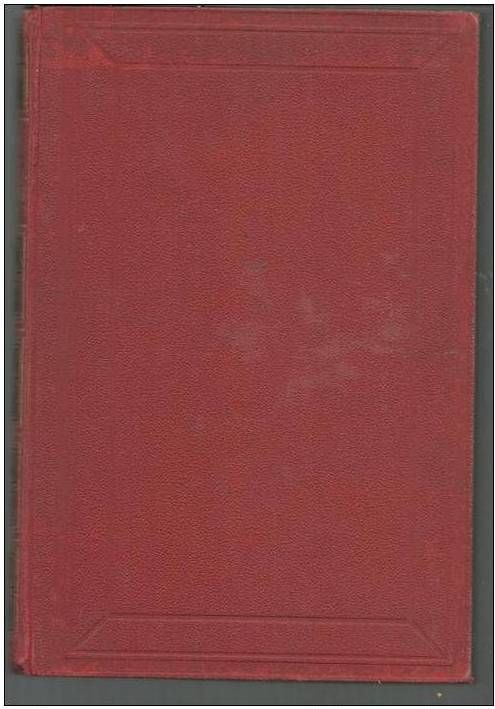 Les vrais robinsons par MM Ferdinand DENIS et Victor CHAUVIN 35 Montauban (82)