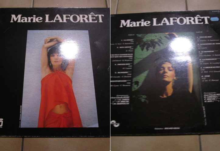 Vynile 33tours collection 15 La Roche-Derrien (22)