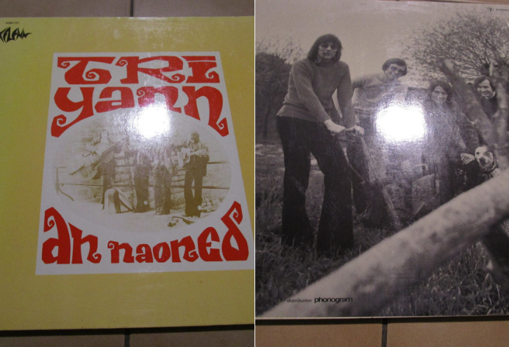 Vynile 33tours collectionae 15 La Roche-Derrien (22)