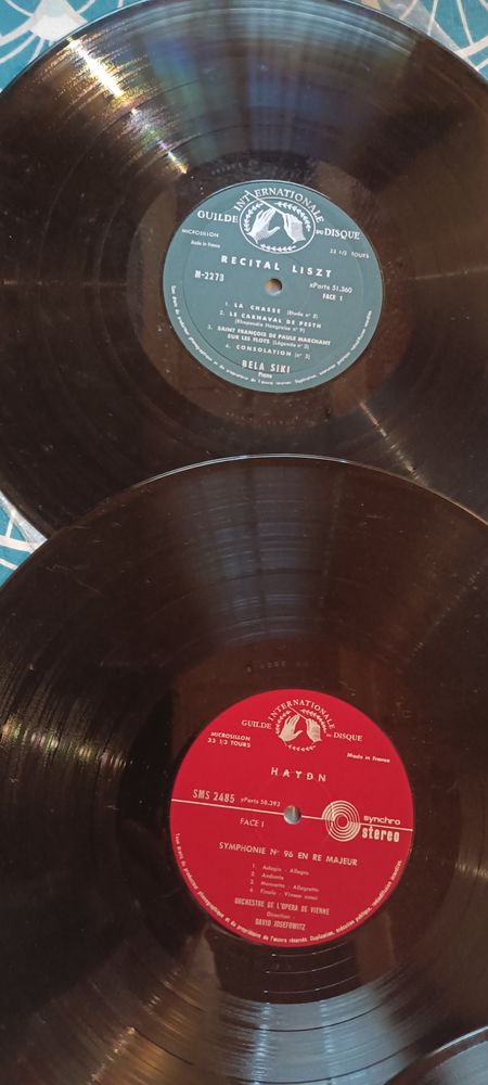 Vyniles 6 Fougueyrolles (33)