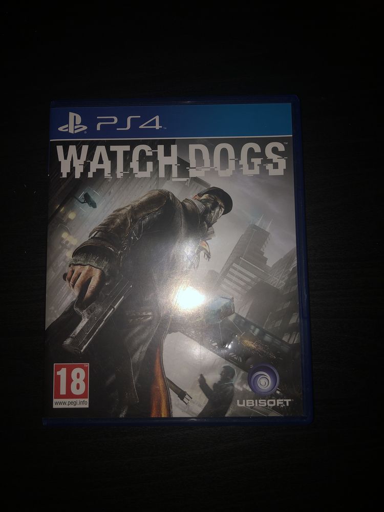 Watch dogs 10 Moustoir-Ac (56)