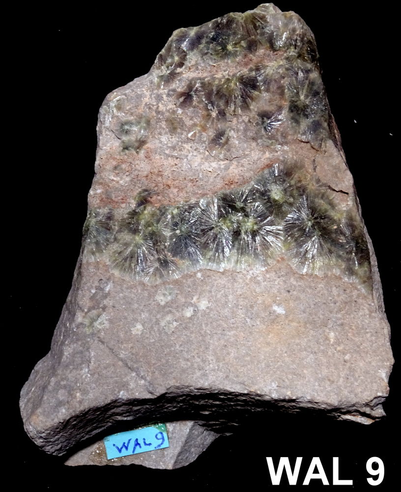 WAVELITE - MINERAUX DE COLLECTION 20 Saint-M�dard (16)