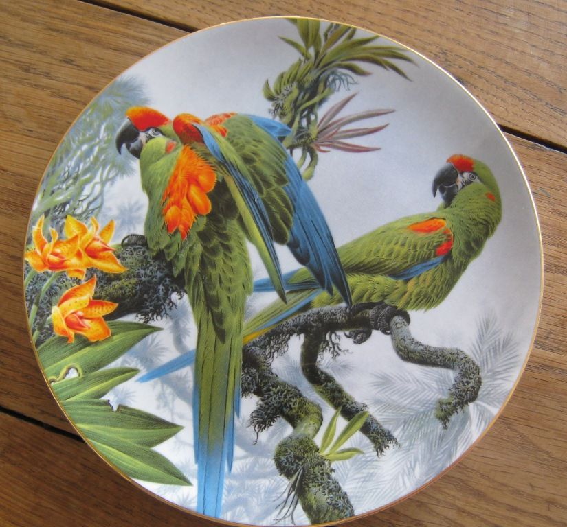  westwood : 5 assiettes de la collection Fragile Paradise 60 Saint-Georges-de-Didonne (17)