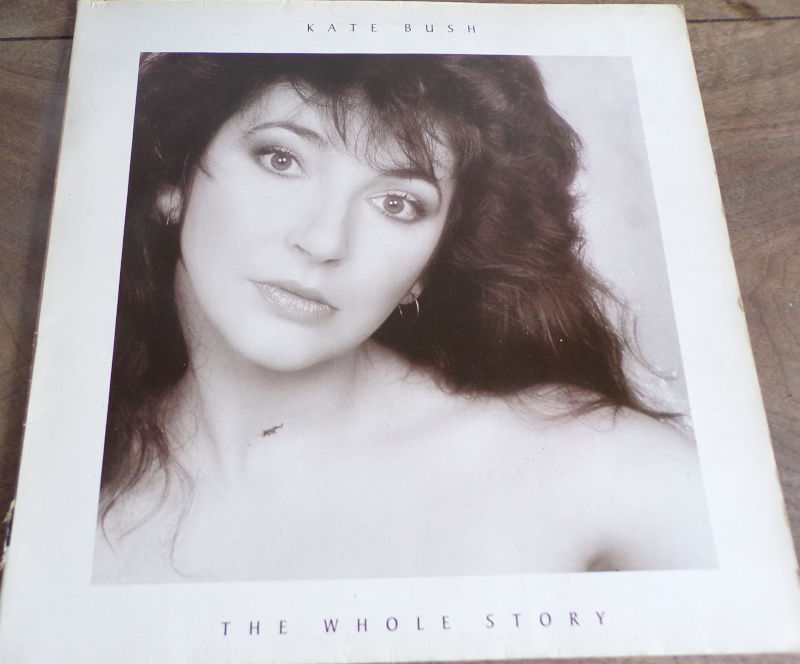 The whole story Kate Bush disque vinyle 33 tours 15 Laval (53)