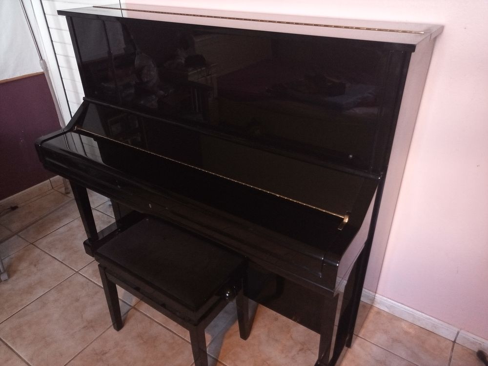 Yamaha U3S
Age 7ans,
tr�s bonne �tat
4900 Sainte-Rose (97)