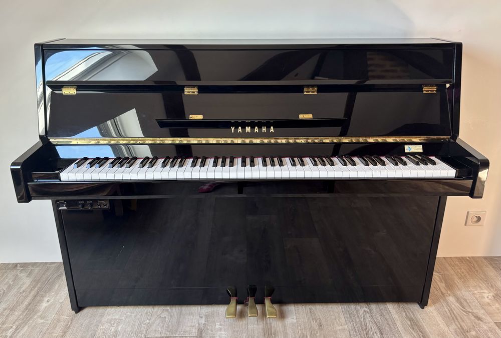 Yamaha Silent B1 3800 Nevers (58)