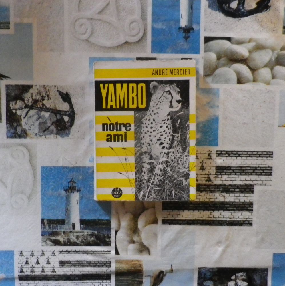 YAMBO NOTRE AMI par Andr� MERCIER 1960 10 Bubry (56)