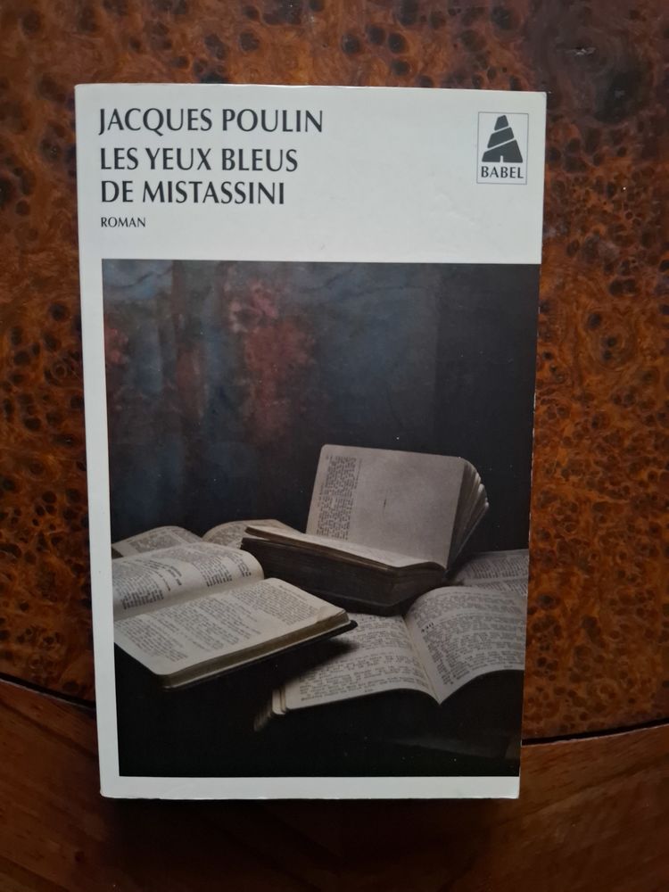 Les Yeux bleus de Mistassini - Jacques Poulin - 2012 - BE 2 La Chapelle-Saint-Luc (10)