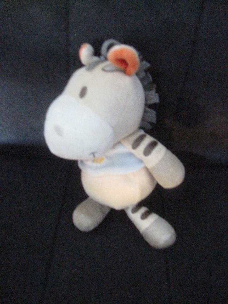 z�bre kitchoun 8 Saint-Jean-Pla-de-Corts (66)