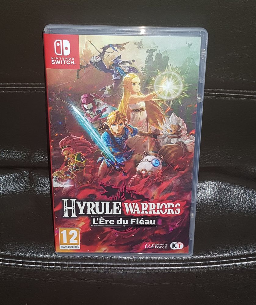 Zelda Hyrule L'ère du Fléau 40 Bar-sur-Seine (10)