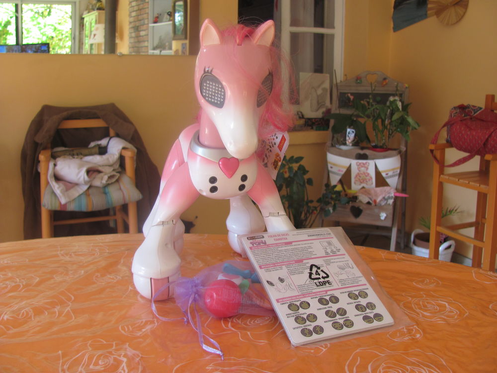 ZOOMER PONEY 60 Bligny-l�s-Beaune (21)