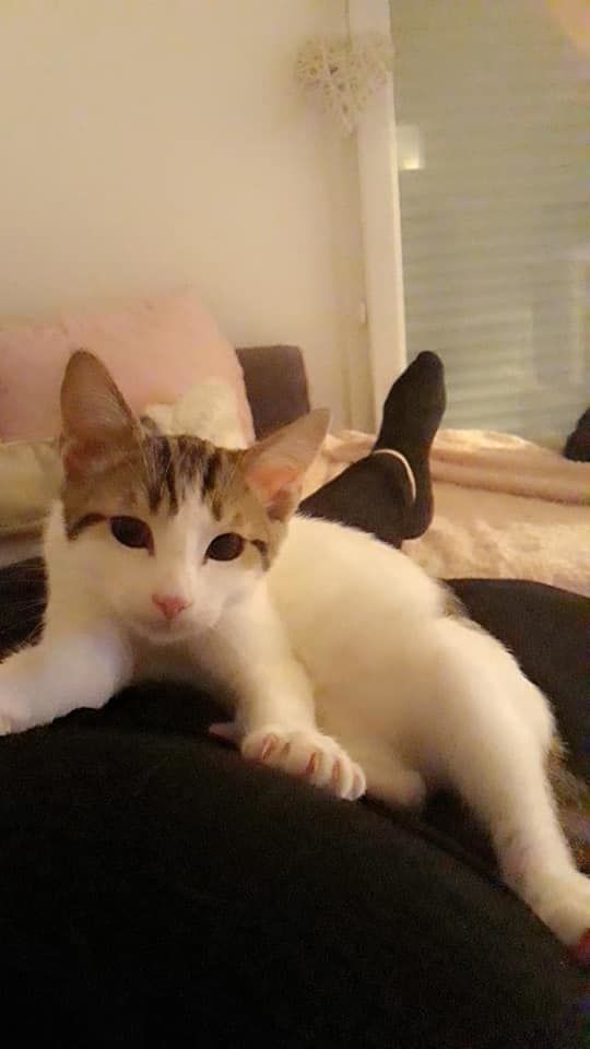 chat sexe champs sur marne