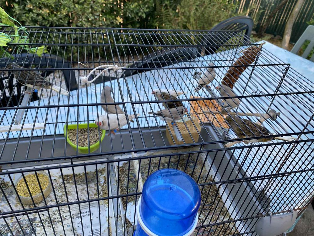 chat sexe champigny sur marne
