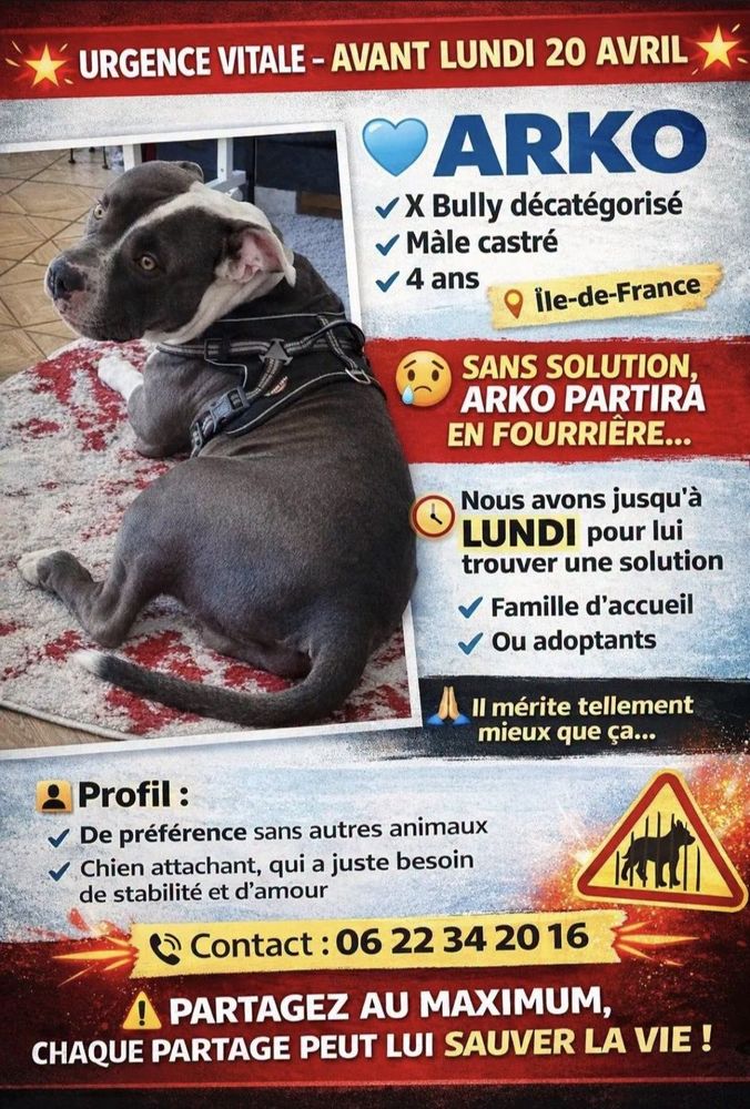 Chien chiot à Paris 18 (75) annonces de chiens et chiots