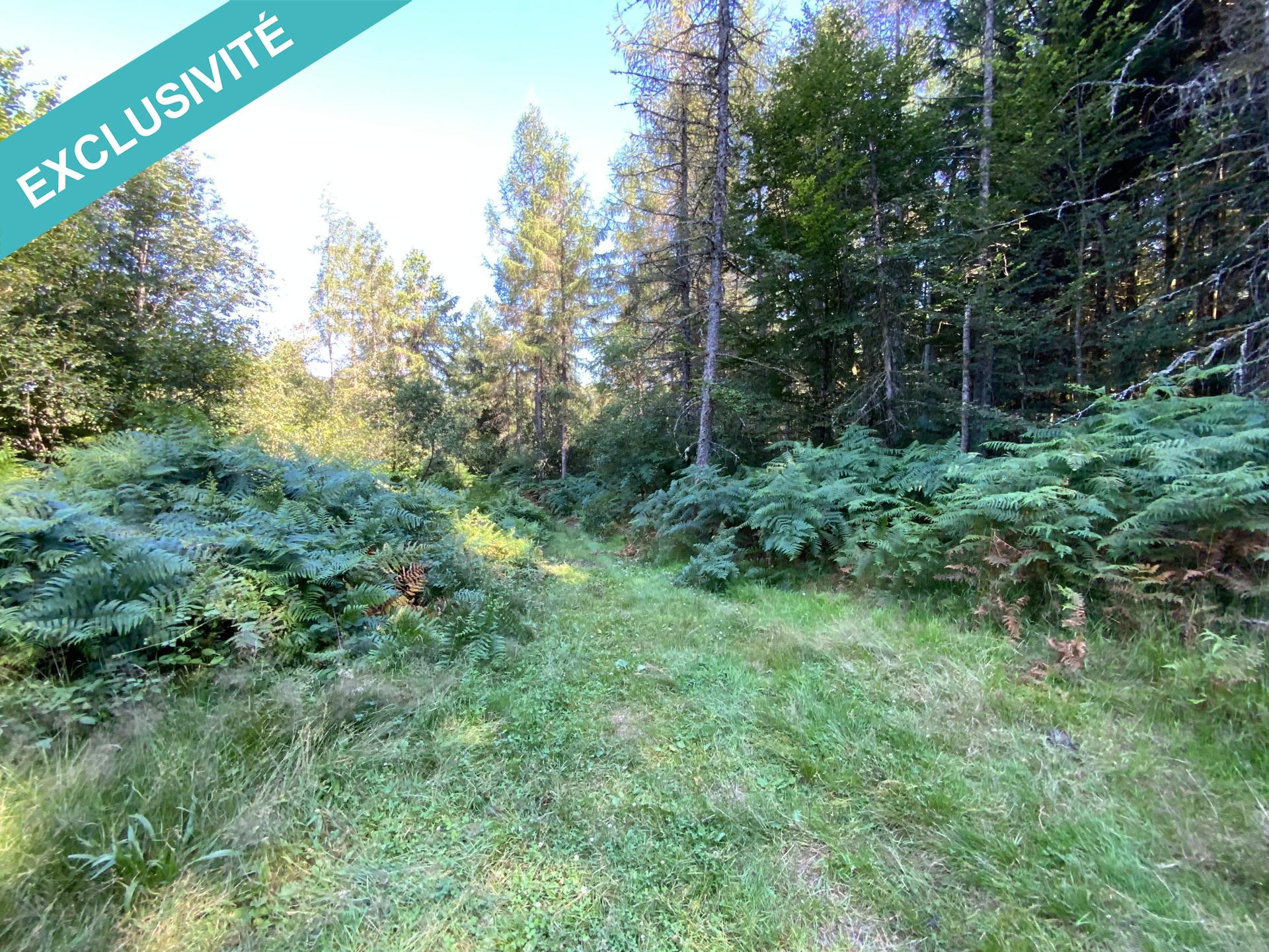 Terrain Non Constructible A Vendre Autour De Moi