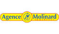 SOCIETE NOUVELLE AGENCE MOLINARD